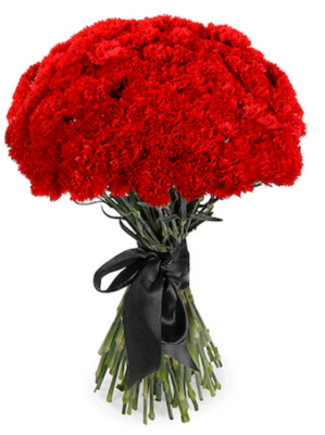 Букет из 50 красных гвоздик Букет из 50 красных гвоздик