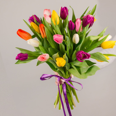 Тюльпаны 25 шт. МИКС (без упаковки) 7338 Тюльпаны 25 шт. МИКС (без упаковки) 7338