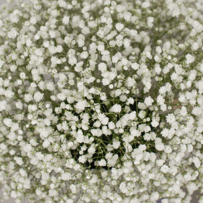 Коробка с гипсофилой белая N 50464 Коробка с гипсофилой белая N 50464