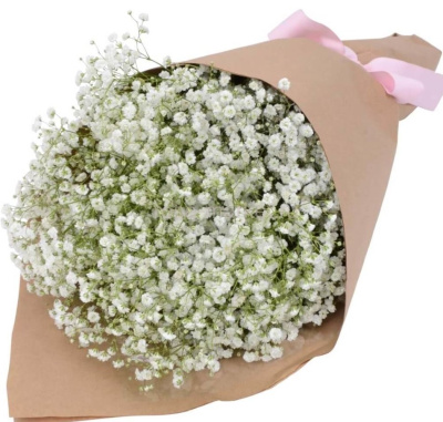 Букет из цветной гипсофилы. Размер S. 29257-С Букет из цветной гипсофилы. Размер S. 29257-С